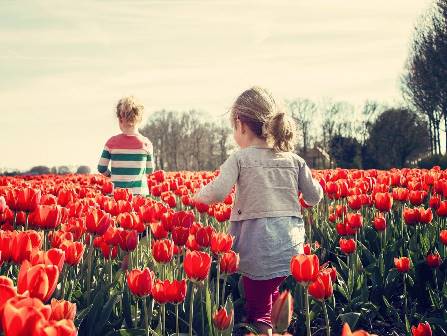  Filles courant à travers les tulipes en Hollande
